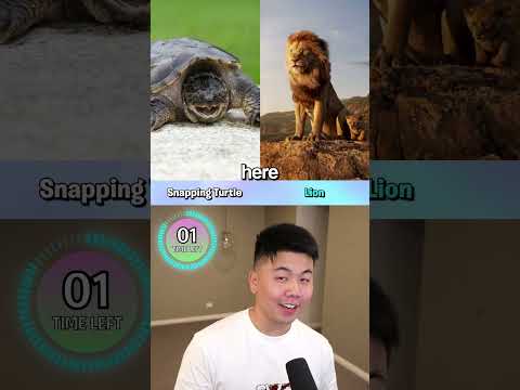 Which BITE is SCARIER?