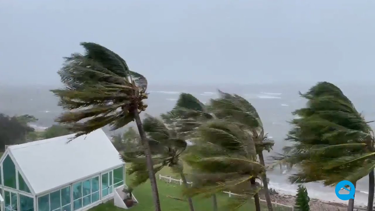 youtube video id=tE6leG-Bs18