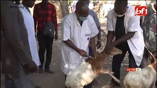 Santé animale : l’Ordre national des vétérinaires du Faso tient son 4ème congrès