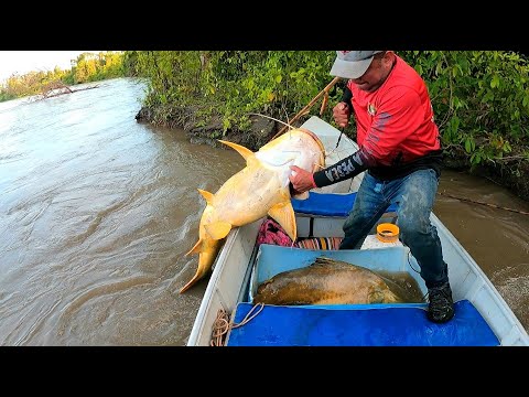 , title : 'Pescando con carnadas de 1 kilo , pesca con carnadas gigantes.'