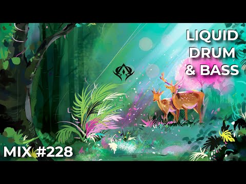 Liquid Drum and Bass Mix 228