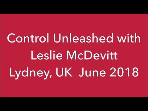 Duckhills Thistledown Dance of Emmi over Twybrook at Control Unleashed, UK 2018