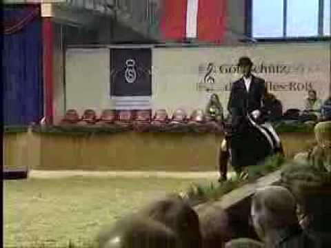 Benetton Dream hengst