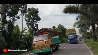 Download lagu video status whatsApp terbaru mobil truk oleng mp3 Download lagu video status whatsApp terbaru mobil truk oleng mp3