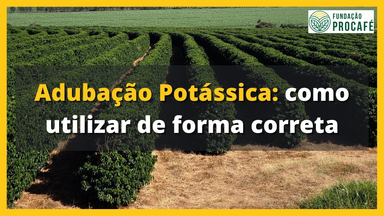 Podcast #63 - Adubação Potássica: como utilizar de forma correta