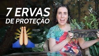 AS FAMOSAS 7 ERVAS DE PROTEÇÃO | Nô Figueiredo