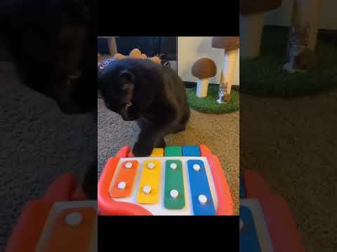 Send this to the person who's name starts with G!