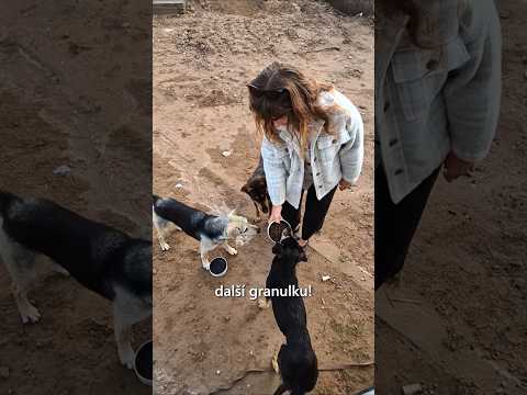 Moji kámoši mají hlad! 🥺