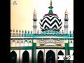 Mere Raza Pyare Raza By Muhammad Ashfaq Attari Naat Status