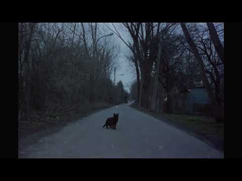 Video thumbnail for LUCY