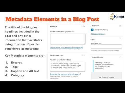 The Ultimate Guide To Blogging Everything You Need To Know