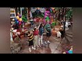 Barney Song Growing Sing And Dance With Barney