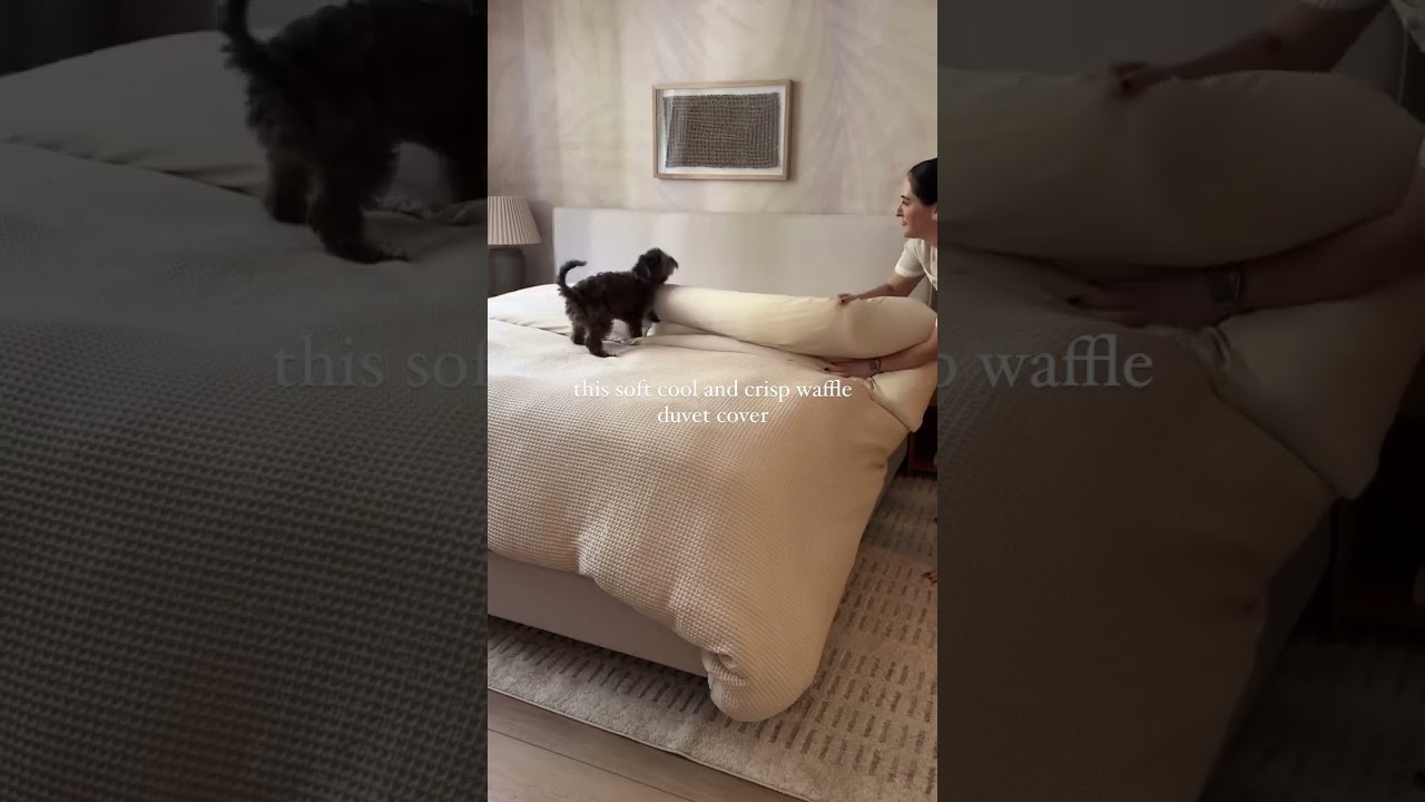 my tried and true Amazon bedding favs #bedding #bedroomdecor #cozybedroom