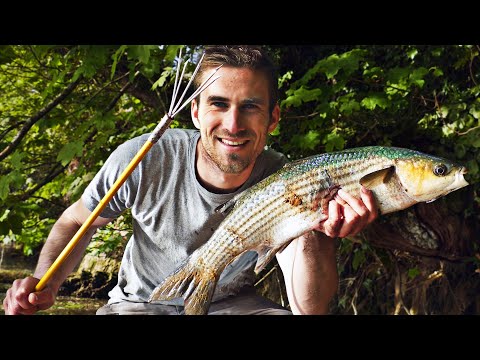 Primitive SPEAR FISH Challenge! (Catch n cook in Isolation)