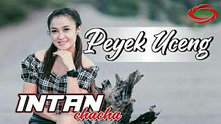 intan chacha - peyek uceng intan-chacha-peyek-uceng
