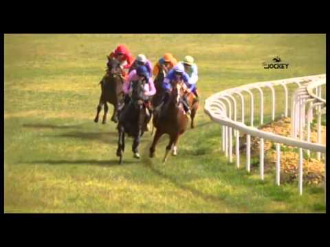 1 Carrera, premio Hienipa Seguridad, 21 de febrero 2016 - Gran Hipódromo de Andalucía (Dos Hermanas)