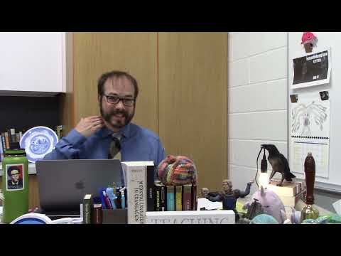 Sir Gawain and the Green Knight, Fitt 1--Summary and Discussion