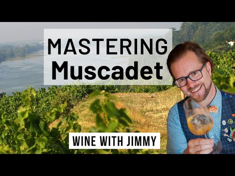 WSET Level 4 Diploma Loire Valley Muscadet Part 1 - Overview