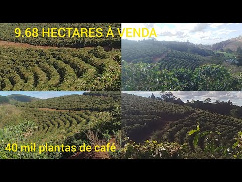 9.68 HECTARES DE TERRA À VENDA EM PIEDADE.
