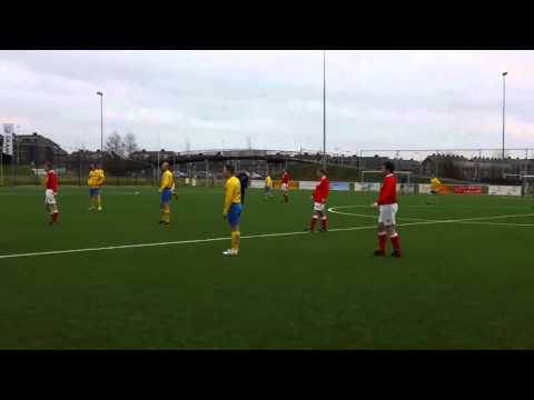 Sander Koopmans Legmeervogels.avi