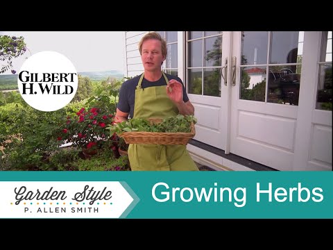 Growing and Cooking with Herbs | Garden Style (1315)