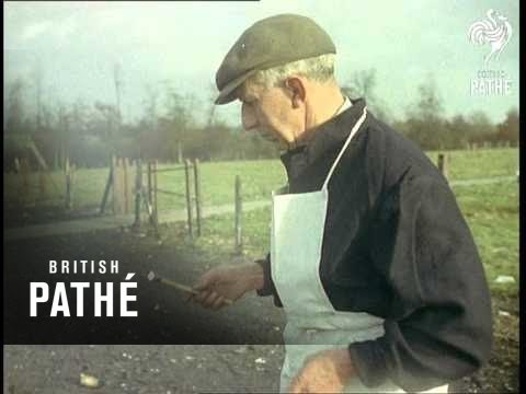 Fireworks Beware - Other Colour Pics Share This Title (1958)