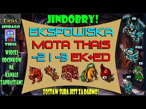 Tibia - MoTa Thais -2 i -3 Ekspowiska EK+ ED