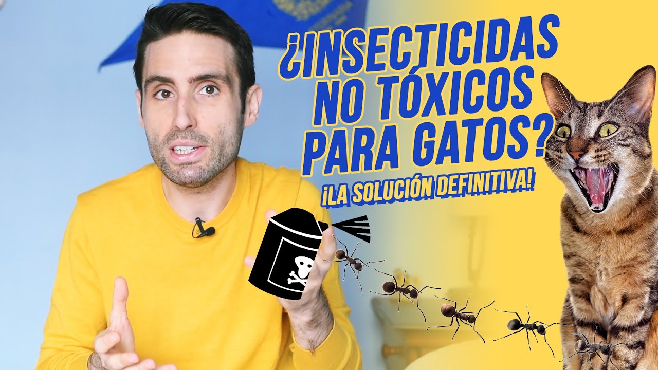 ¿Existe algún insecticida que no sea tóxico para gatos ¿Aceite de Neem