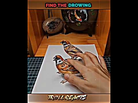 Find the drawing 🤔