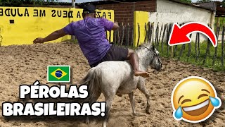 AS MELHORES PÉROLAS BRASILEIRAS 🇧🇷 | TENTE NÃO RIR 🤣