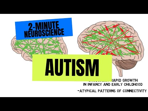 2-Minute Neuroscience: Autism