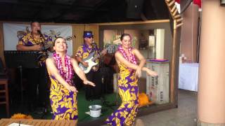 Hula Dancers -  My Little Grass Shack in Kealakekua Hawai`i at Tiki's Grill &amp; Bar in Waikiki
