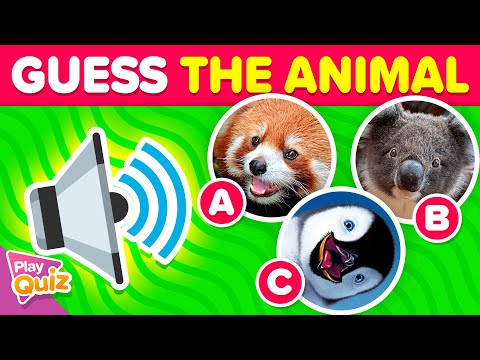 Guess the Animal Sound 🐸🔊🐷 | Game Multiple Choice | PlayQuiz Challenge