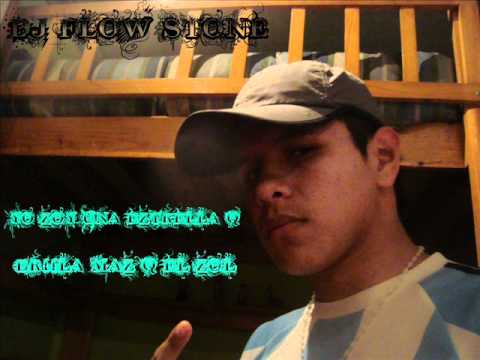 Live W & Y Ft Mr CamaleOn Mix DJ FlOw StOne Yo zOy una eztrella