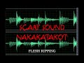 Scary Sound Flesh Ripping Nakakatakot