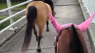 Riding raws - June/July