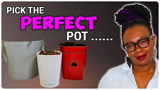 The Wrong Pot Will KILL Your Plants During Soil-to-Leca Transition