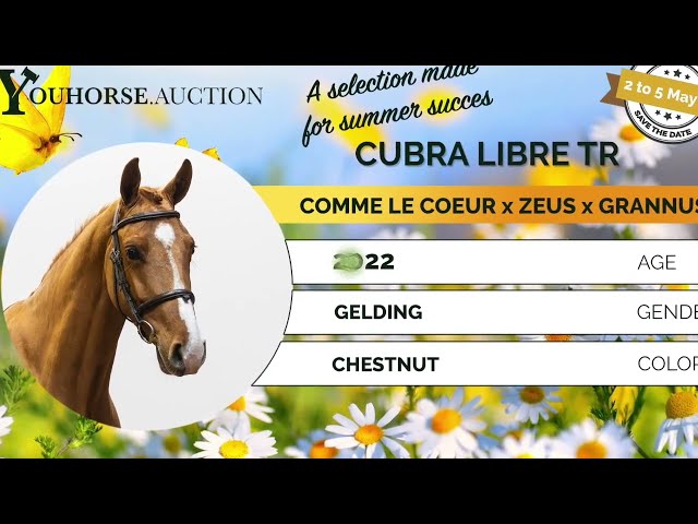 Cuba Libre flatwork