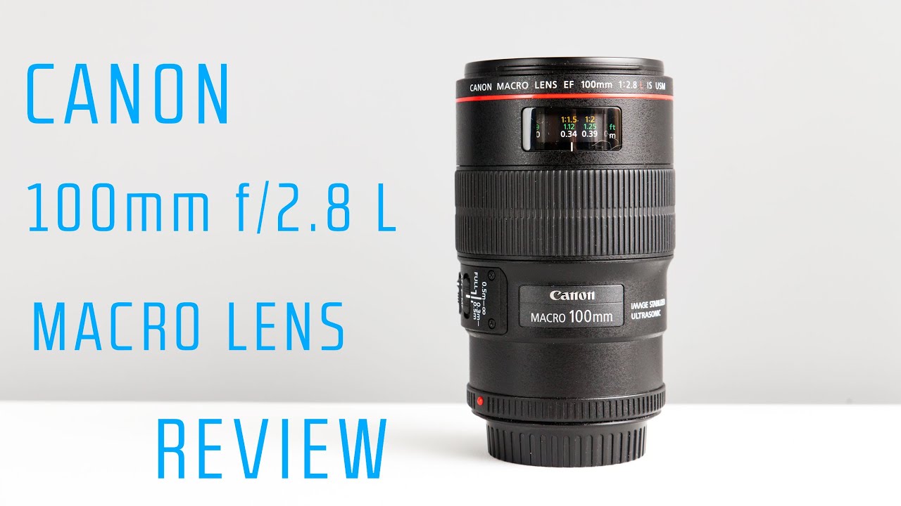 Canon EF 100mm f/2.8L Macro IS USM Review