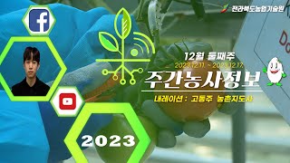 [ 주간농사정보 ] 12월 2째주 (2023. 12. 11. ~ 2023. 12. 17.)