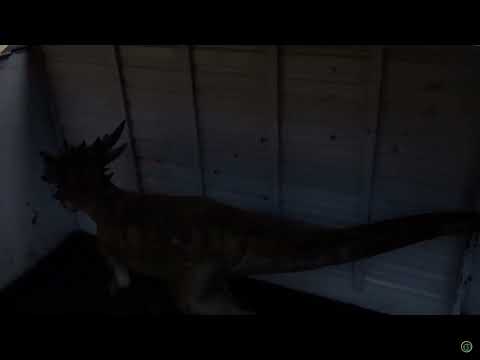 Dino Tracker Species Sightings File 19 - Stygimoloch