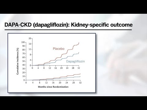 SGLT2 Inhibitors in Chronic Kidney Disease