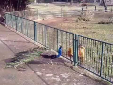 Was sich neckt das Liebt sich