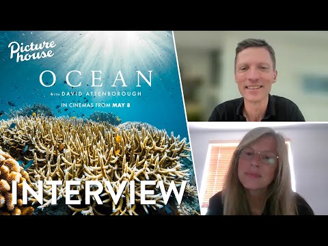 Thumbnail of the video: Interview with Co-Director Colin Butfield