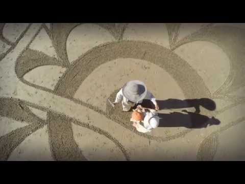 Play Video Youtube Video