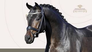 For Romance récompensé comme étalon Oldenbourg de l'année