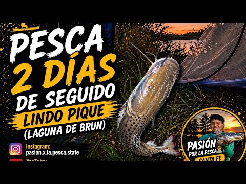 PESCA 2 DÍAS DE SEGUIDO, LINDO PIQUÉ ( LAGUNA DE BRUN - Las Garzas) 
