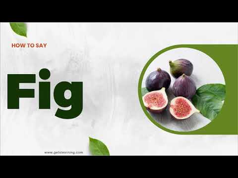 How to pronounce Fig in English correctly