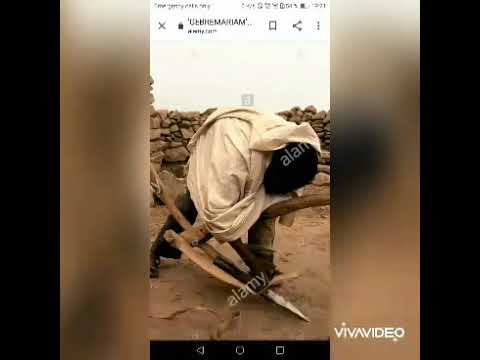 ፕሮሶስ ጀርመን ዘርእስታ ሓዳሽ ግጥሚ ብBSTV