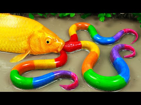 Fun Mud Survival | Golden Carp Eel Hunting Rainbow Colorful Primitive Experiment | Stop Motion ASMR